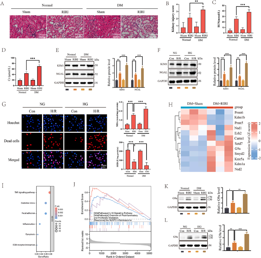 1767770704526617.png 图片2.png