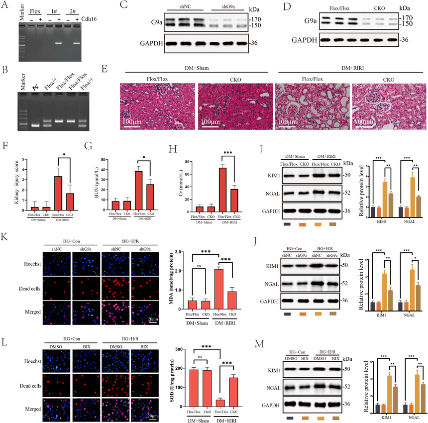 1767770719770633.png 图片3.png