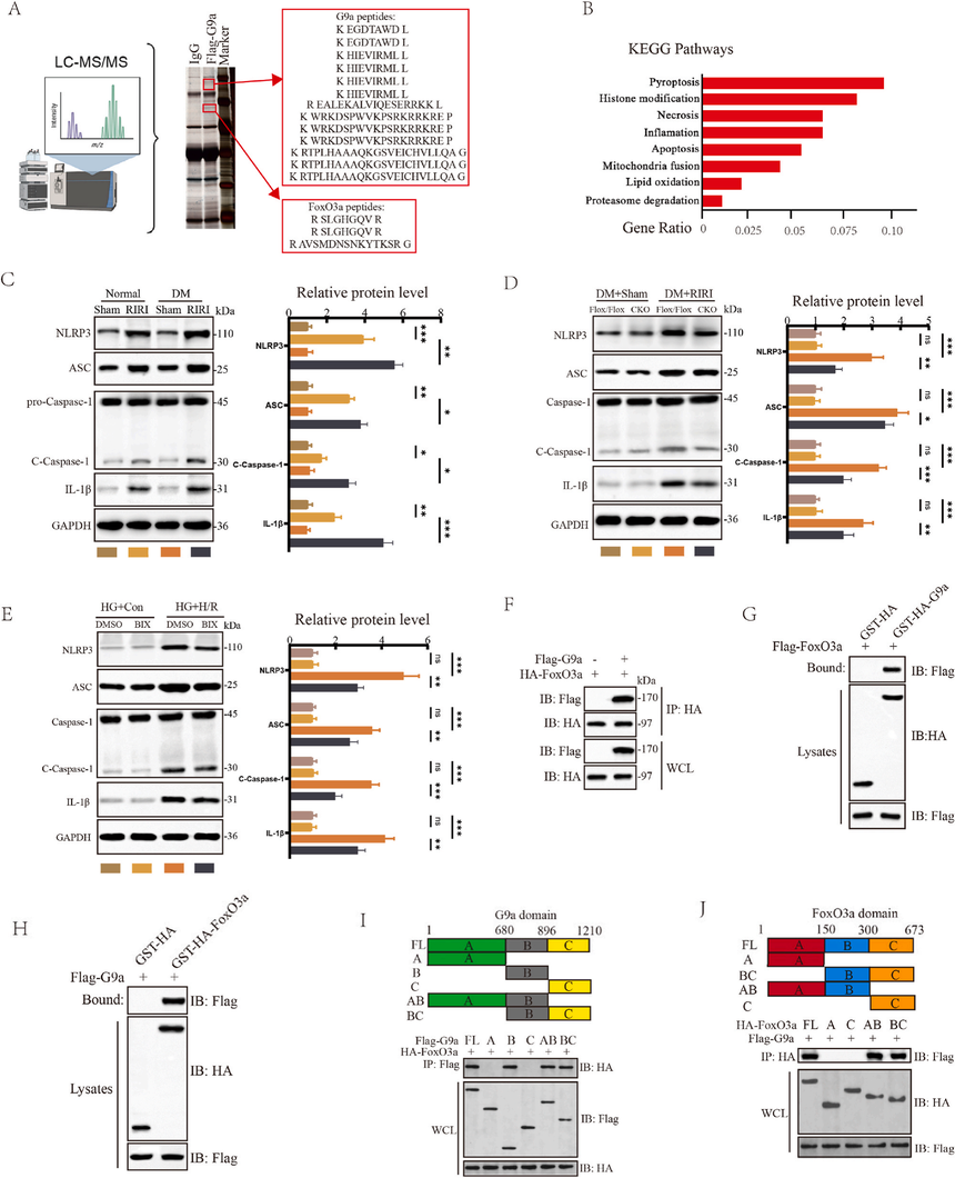 1767770734751054.png 图片4.png