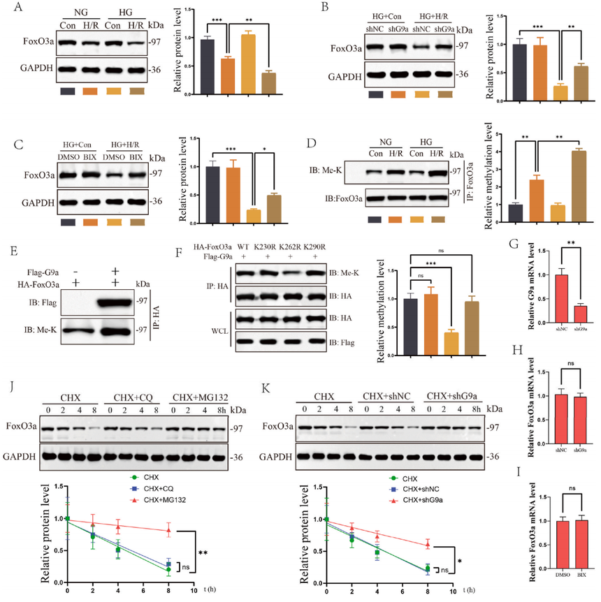 1767770746966795.png 图片5.png