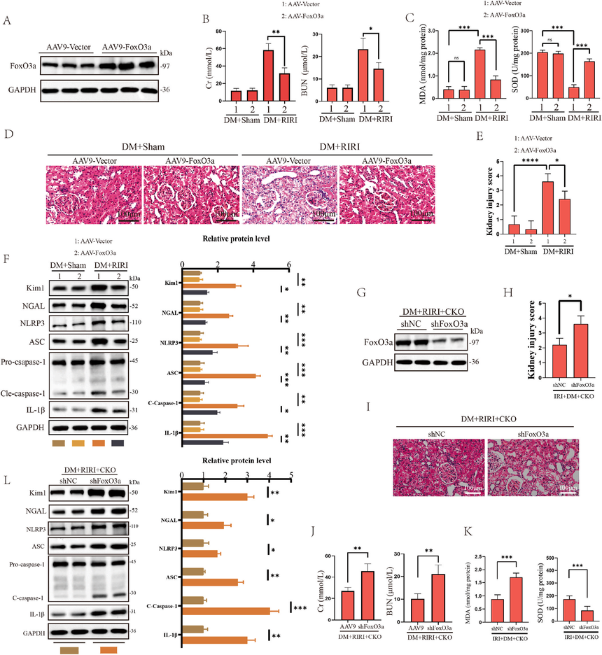 1767770772711340.png 图片7.png