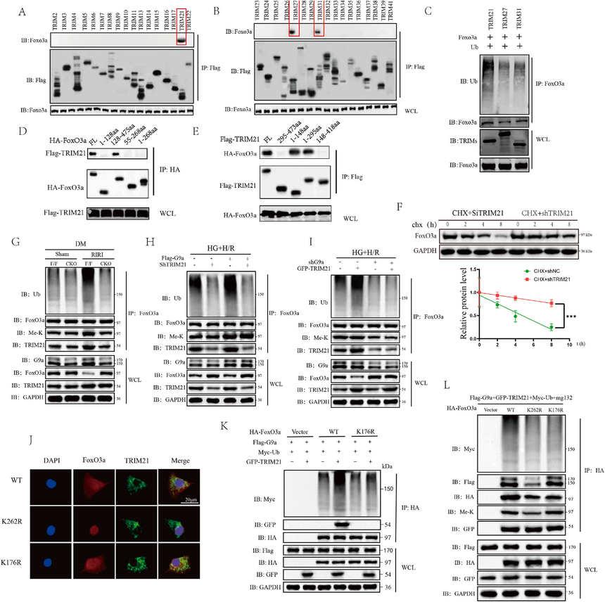 1767770785779693.png 图片8.png