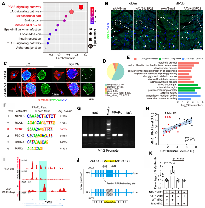 1767771912197926.png 图片3.png