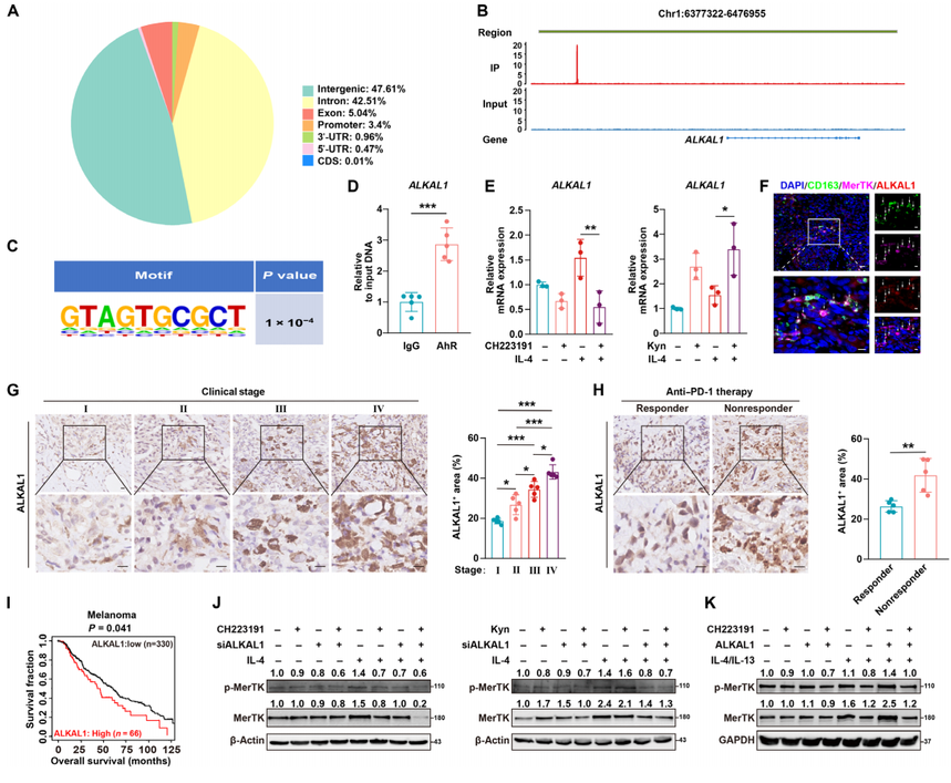 1767771940208779.png 图片5.png