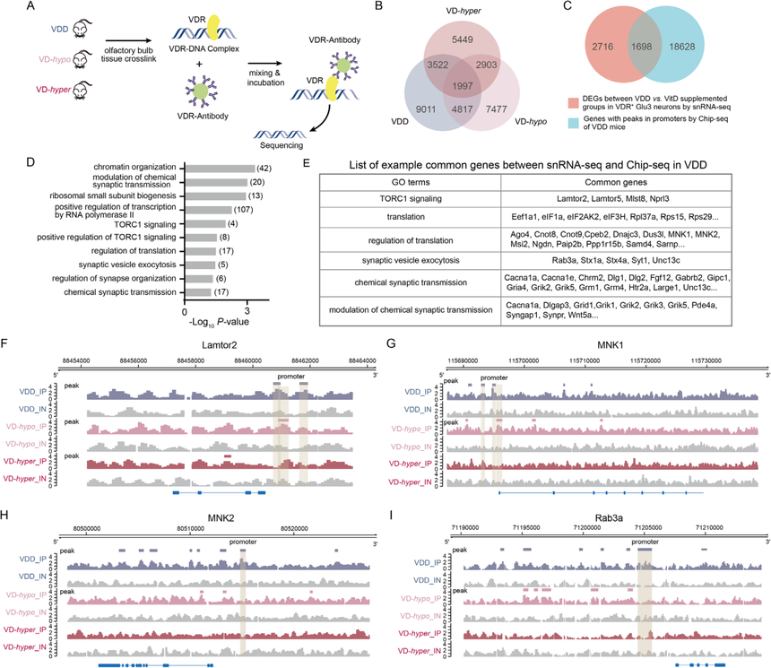 1767771965340507.png 图片7.png