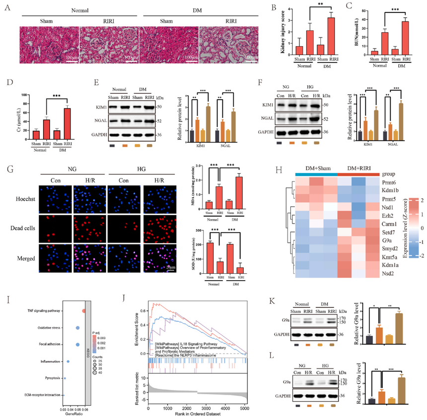 1767853956915202.png image.png