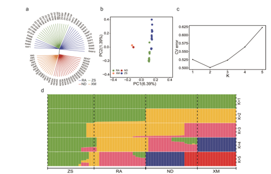 1768465567779958.png 图片1.png
