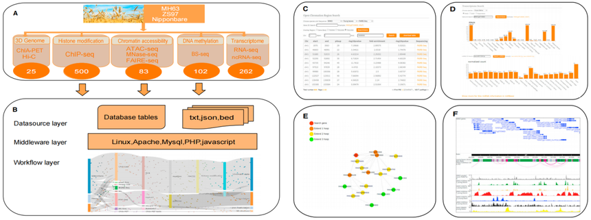 1768553633766488.png 图片4.png