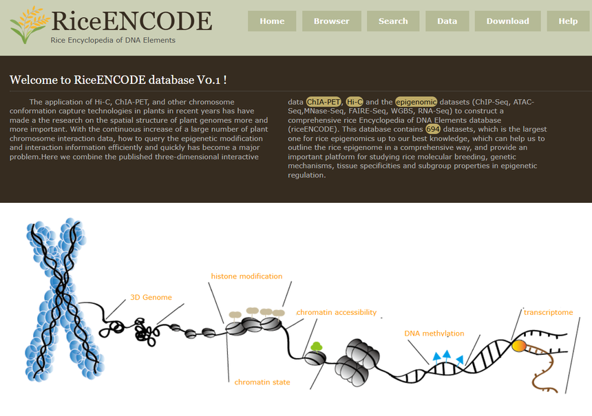 1768553642595772.png 图片5.png