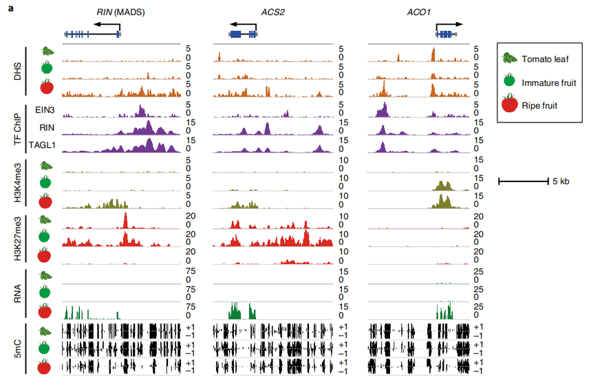 1768553655921583.png 图片6.png