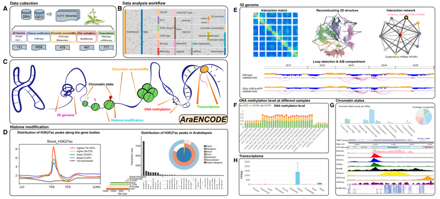 1768553667687152.png 图片7.png