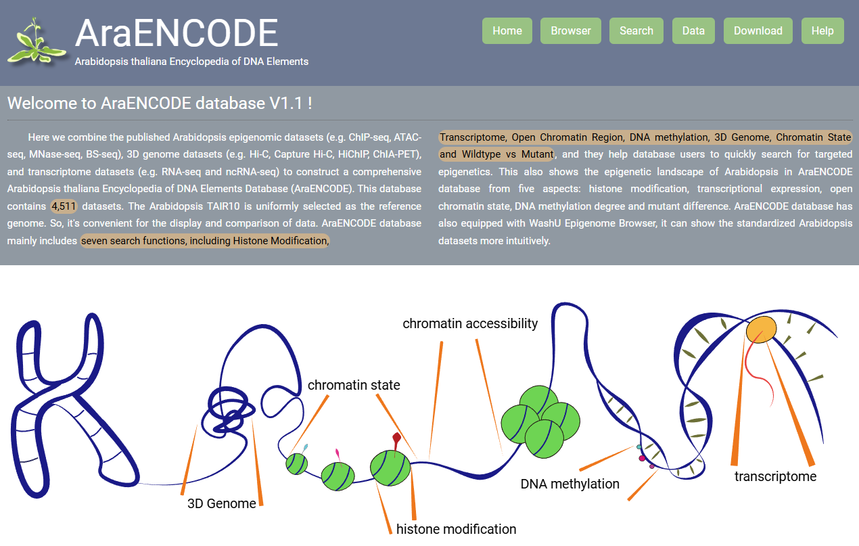 1768553681194008.png 图片8.png