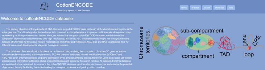 1768553709492000.png 图片10.png