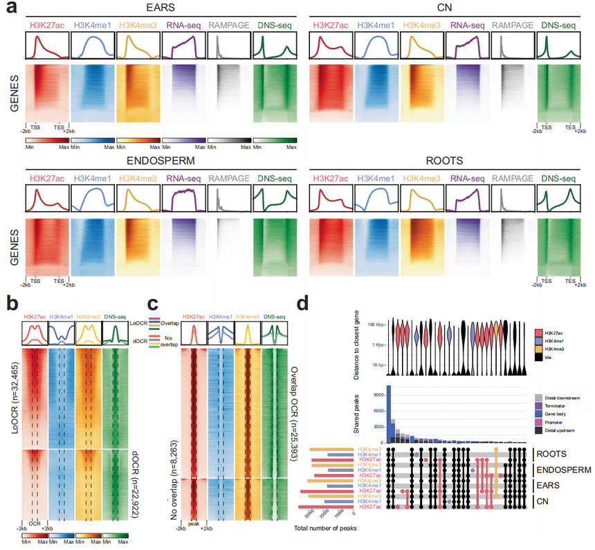 1768553720389655.png 图片11.png