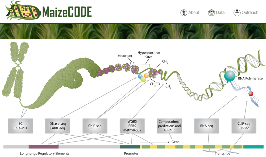 1768553762631500.png 图片12.png