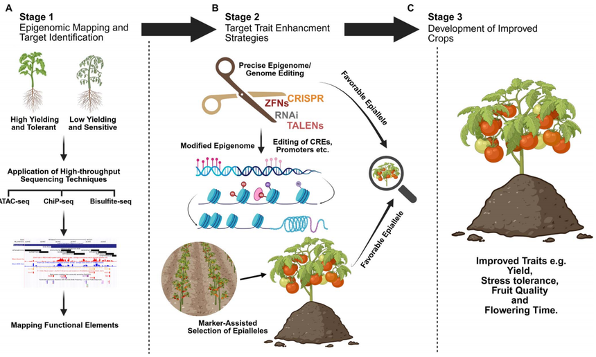 1768553772985101.png 图片13.png