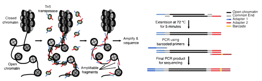 1769135315210945.png 图片3.png