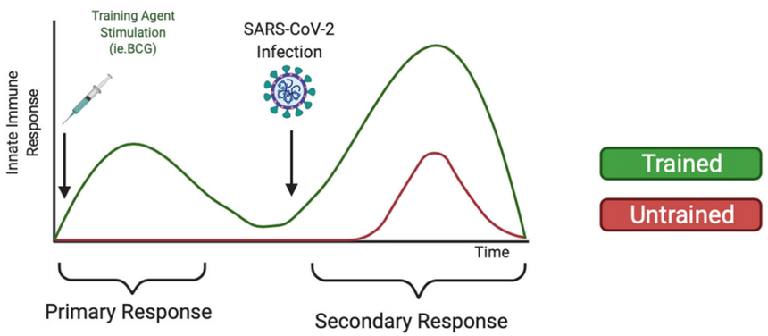 1769138961837909.png 图片1.png