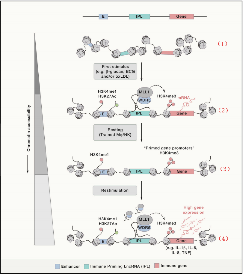 1769138981925035.png 图片3.png