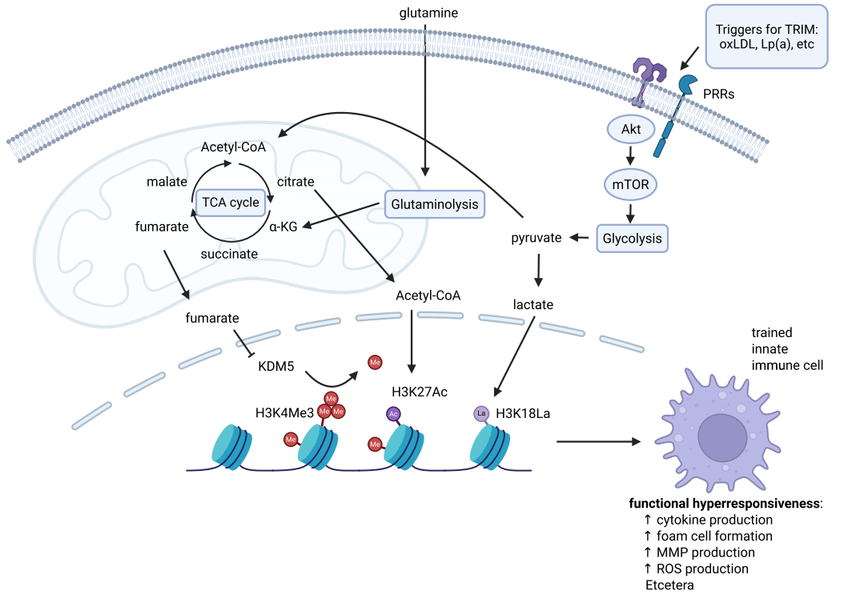 1769138994637863.png 图片4.png