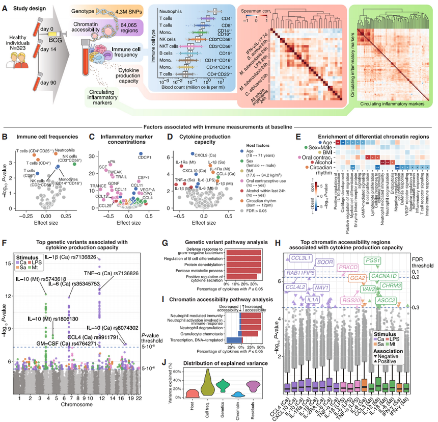 1769139052109819.png 图片8.png