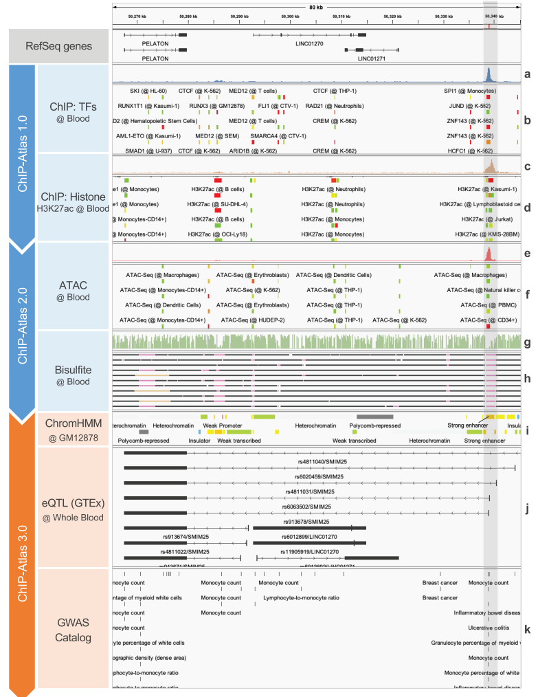 1770011833207397.png 图片7.png