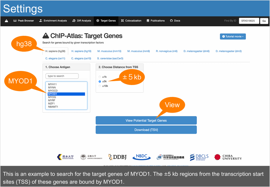 1770011865326243.png 图片10.png