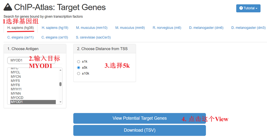 1770011901972450.png 图片13.png