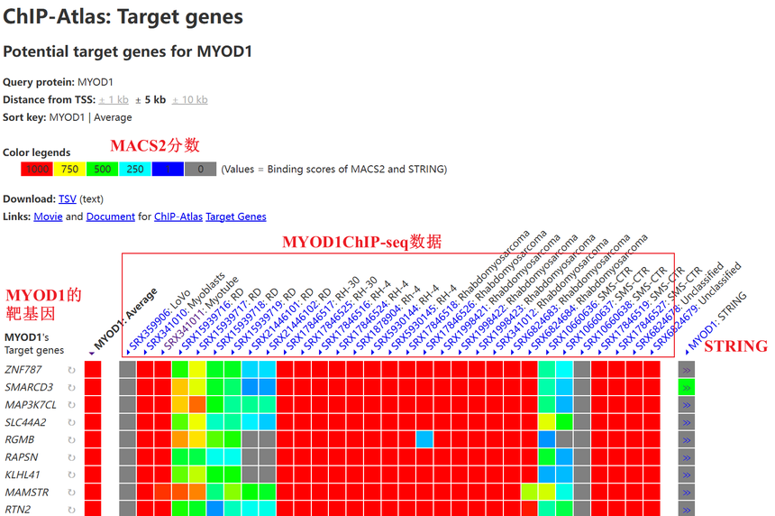 1770011910545894.png 图片14.png