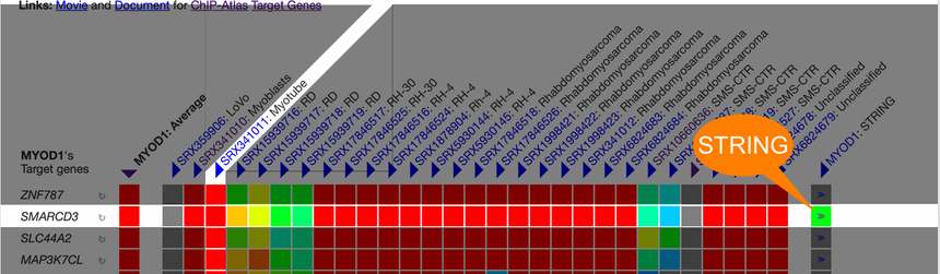 1770011968151186.png 图片16.png