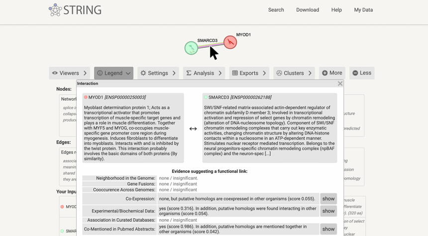 1770011977899427.png 图片17.png