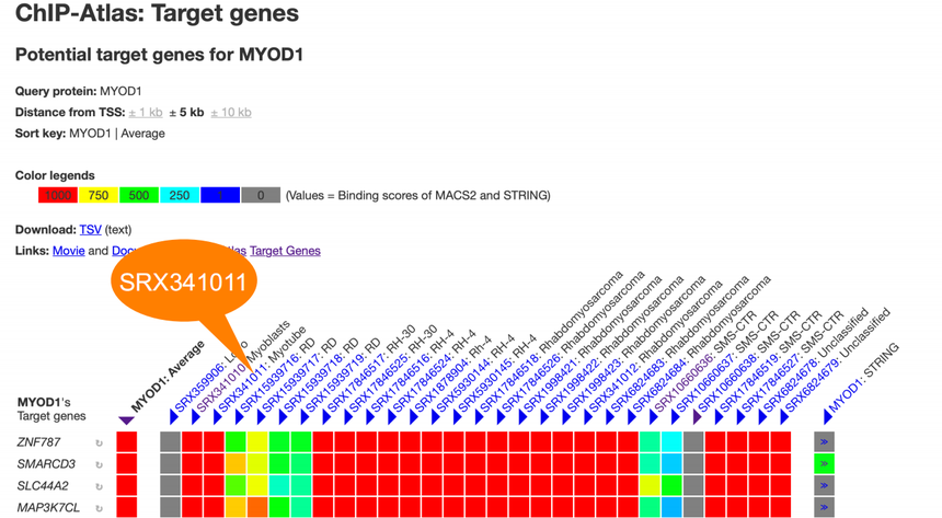 1770011986308507.png 图片18.png