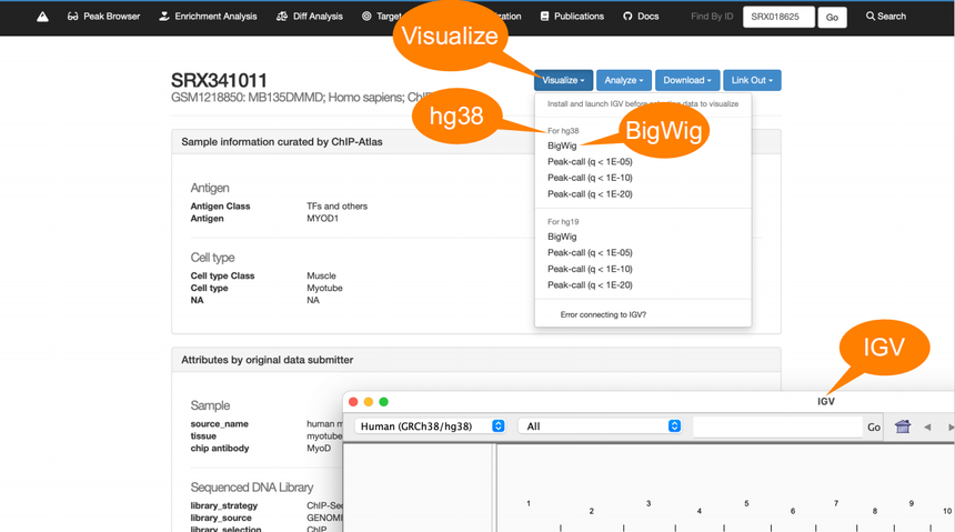 1770011996769247.png 图片19.png