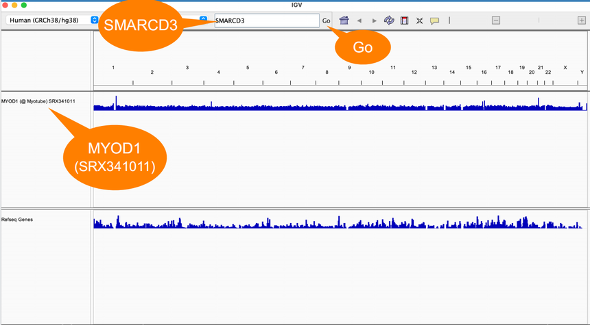 1770012006331142.png 图片20.png