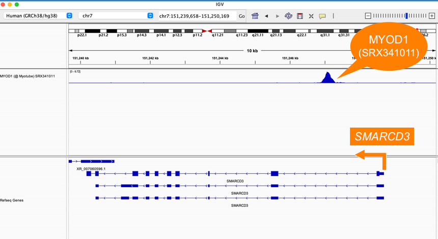 1770012020369955.png 图片21.png