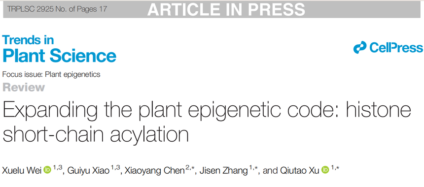 1770012594516665.png 图片1.png