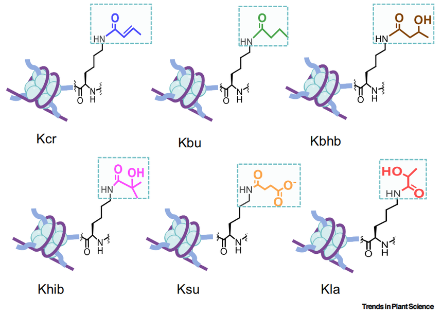 1770012629416585.png 图片2.png
