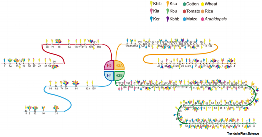 1770012642814384.png 图片3.png