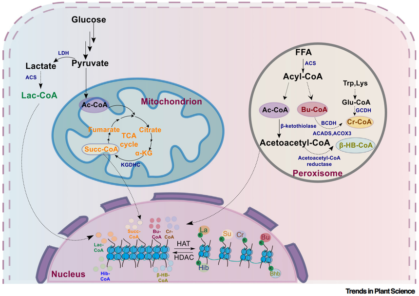 1770012658713648.png 图片4.png