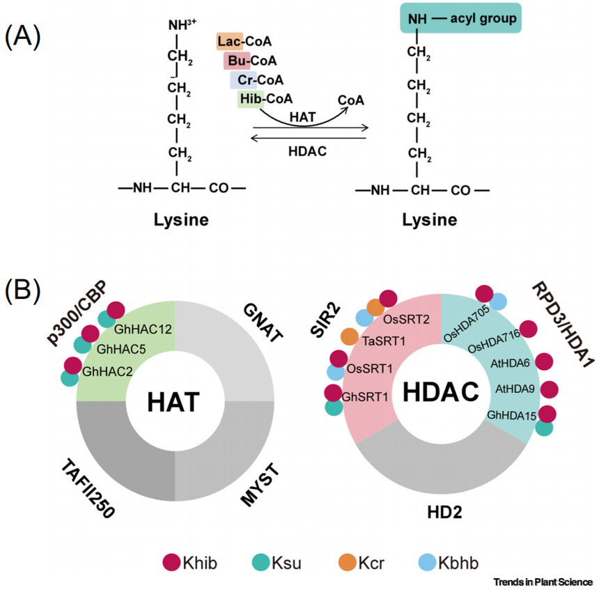 1770012668707940.png 图片5.png