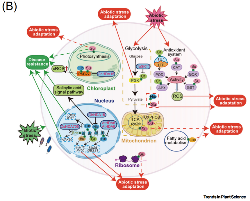 1770012690356996.png 图片7.png