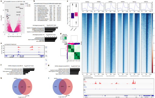 1770016024228122.png 图片2.png