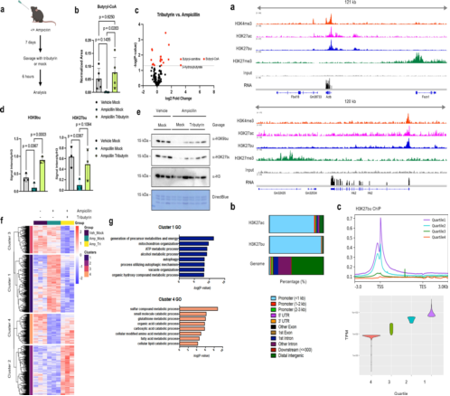 1770016097897509.png 图片4.png