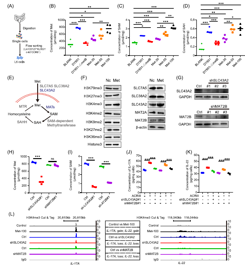1770016209284277.png 图片6.png