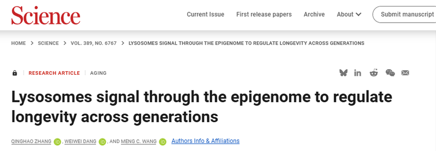 1770016453119187.png 图片1.png