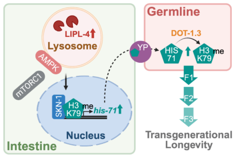 1770016482339357.png 图片2.png