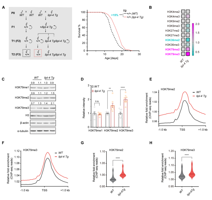1770016507838792.png 图片3.png