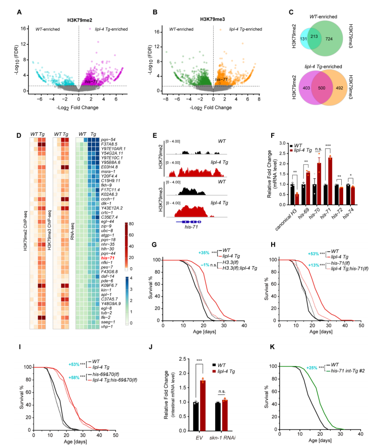 1770016528266649.png 图片4.png