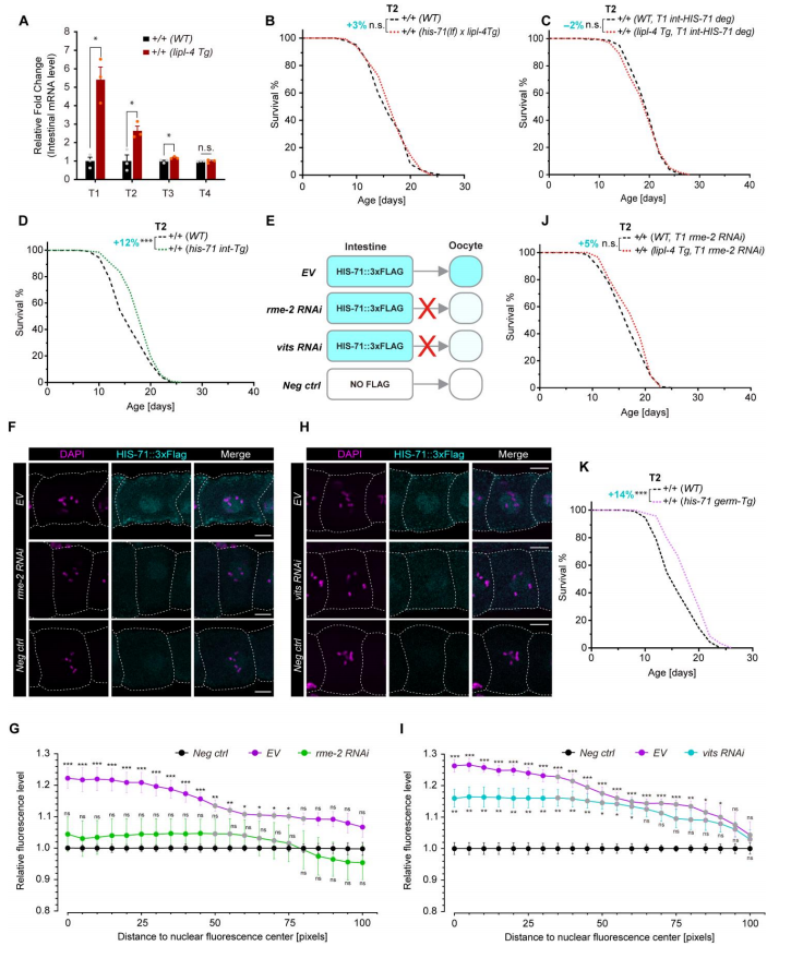 1770016552747747.png 图片5.png