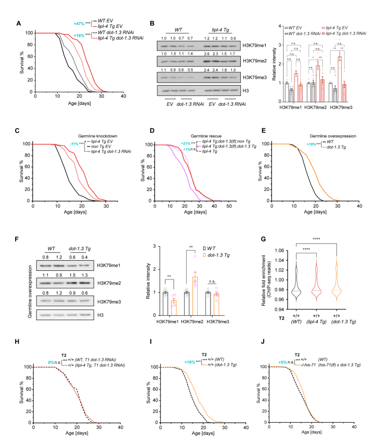 1770016574897938.png 图片6.png